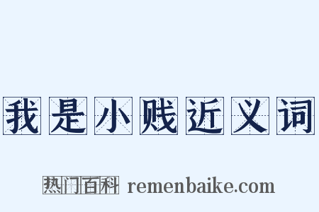 我是小贱近义词是什么意思的图片